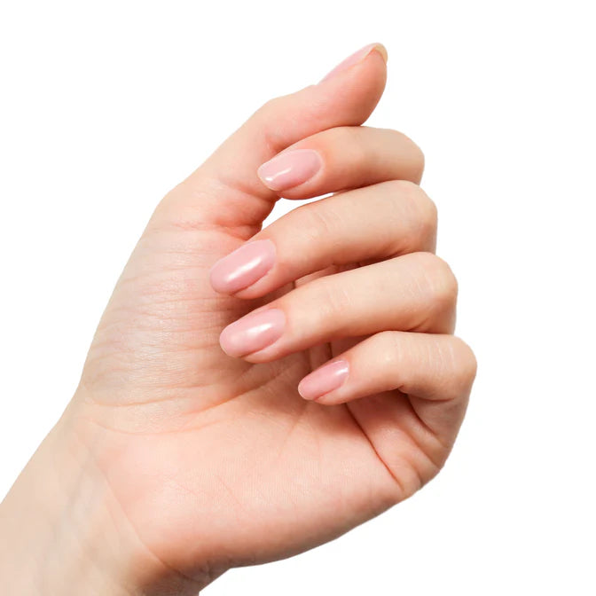 MNP Overlay Fiber Base 14Ml