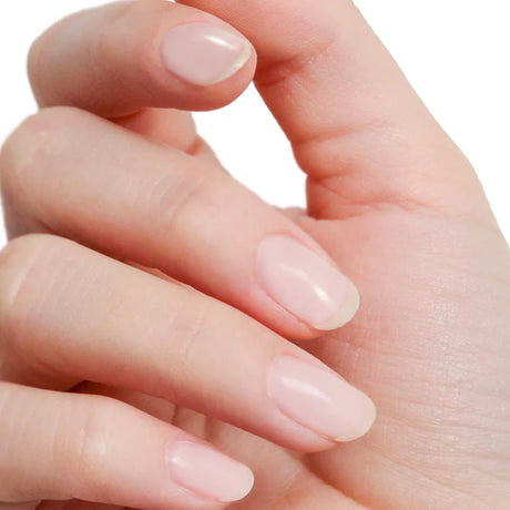 Mnp Mesauda Nail Universal Rubber Base Gel 14Ml