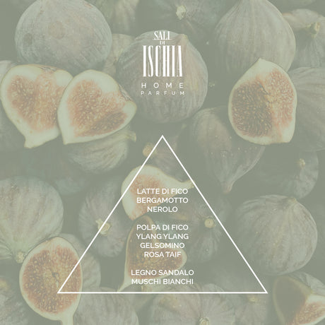 Sali di Ischia Fico Mediterraneo Home Parfum