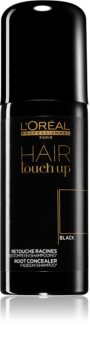 L’Oréal Professionnel Hair Touch Up